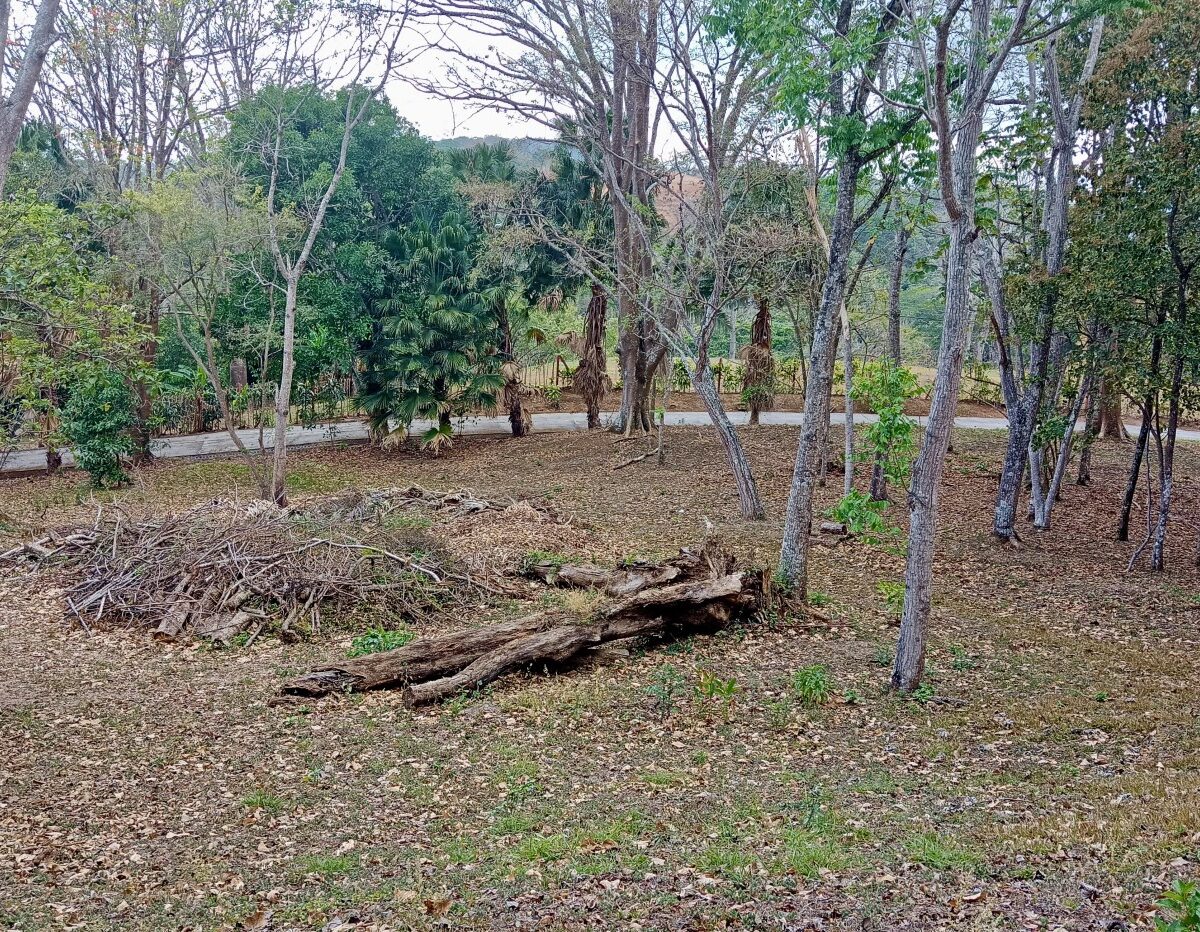 Building Lots for sale in Atenas Costa Rica