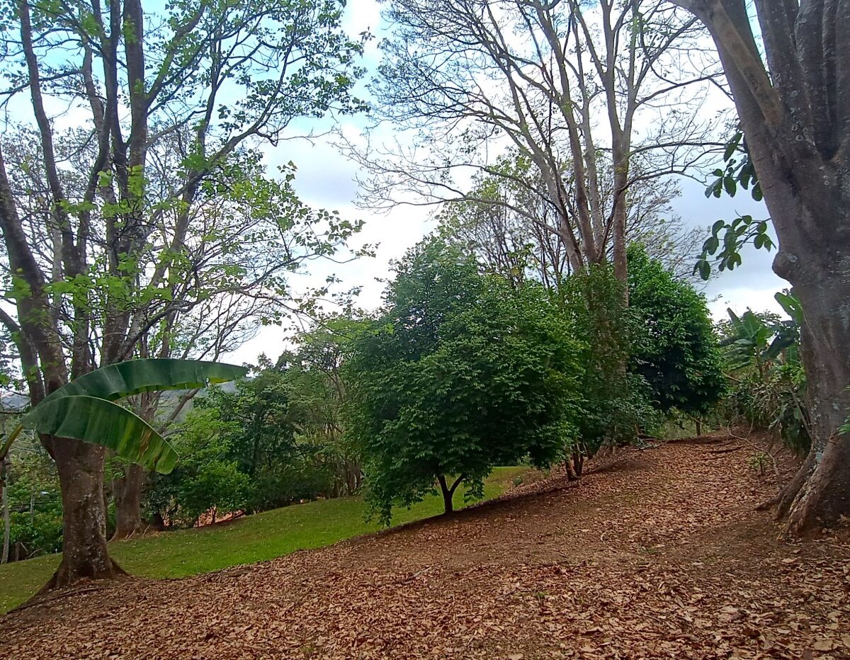 Building Lots for sale in Atenas Costa Rica