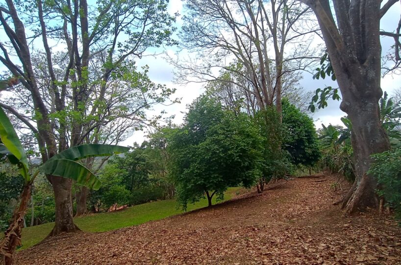 Building Lots for sale in Atenas Costa Rica
