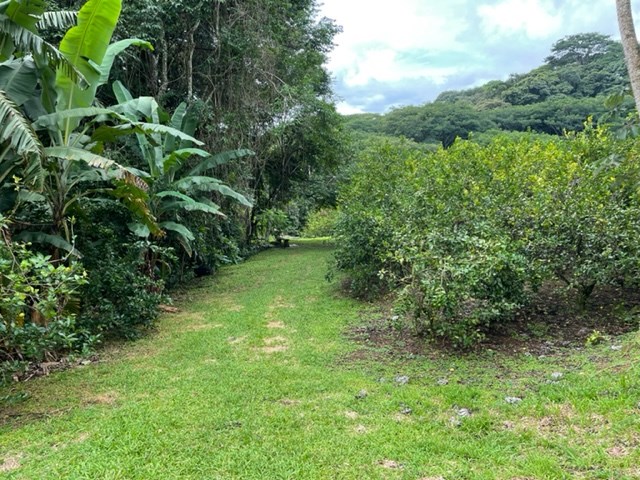 Building Lots for sale in Atenas Costa Rica