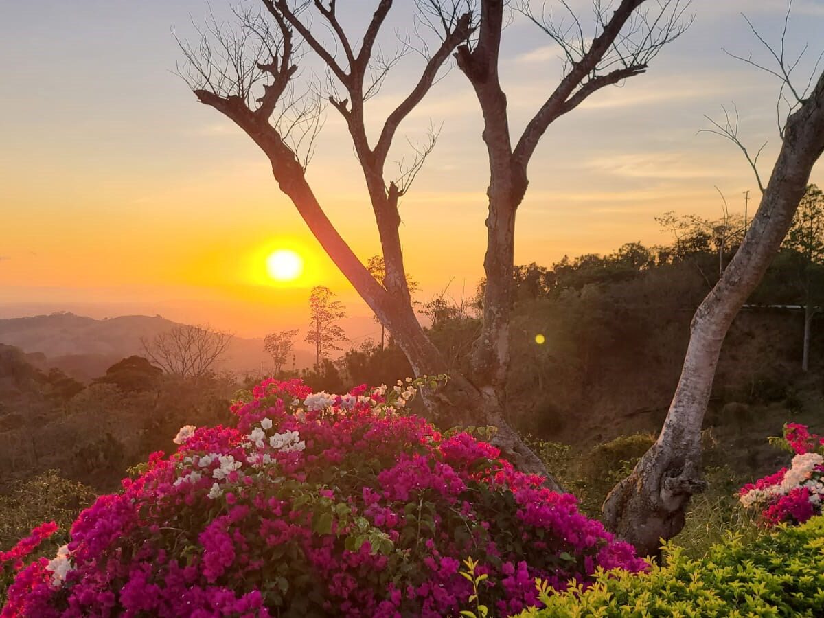 Homes for sale in Atenas Costa Rica