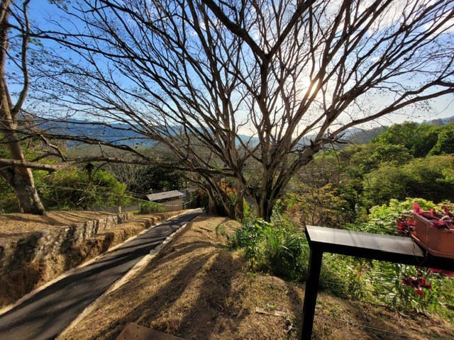 Homes for sale in Atenas Costa Rica