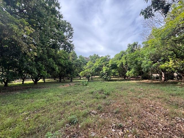 Building Lots for sale in Atenas Costa Rica