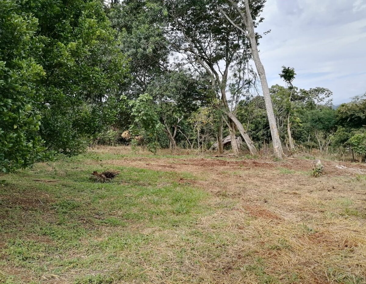 Building Lots for sale in Atenas Costa Rica