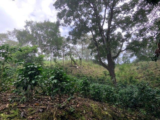 Building Lots for sale in Atenas Costa Rica