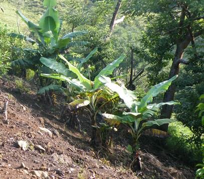 Building Lots for sale in Atenas Costa Rica