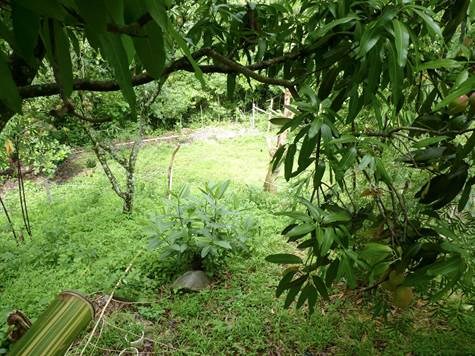 Homes for sale in Atenas Costa Rica
