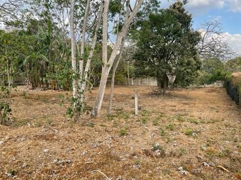 Building Lots for sale in Atenas Costa Rica