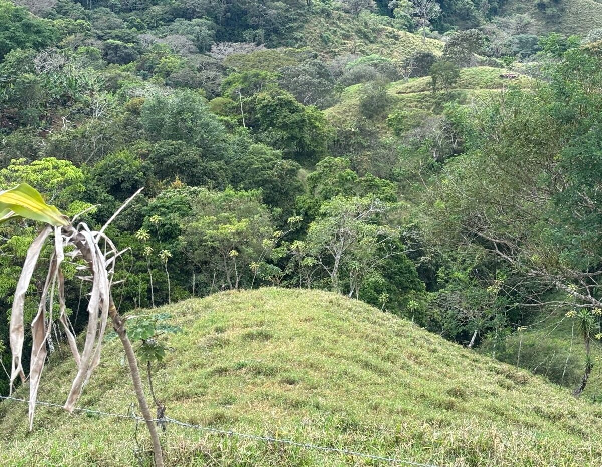 Homes for sale in Atenas Costa Rica