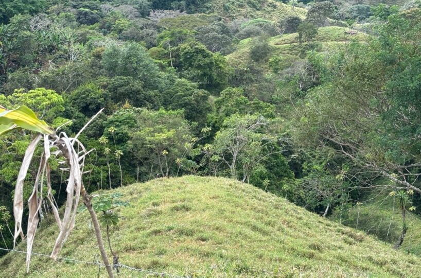 Homes for sale in Atenas Costa Rica