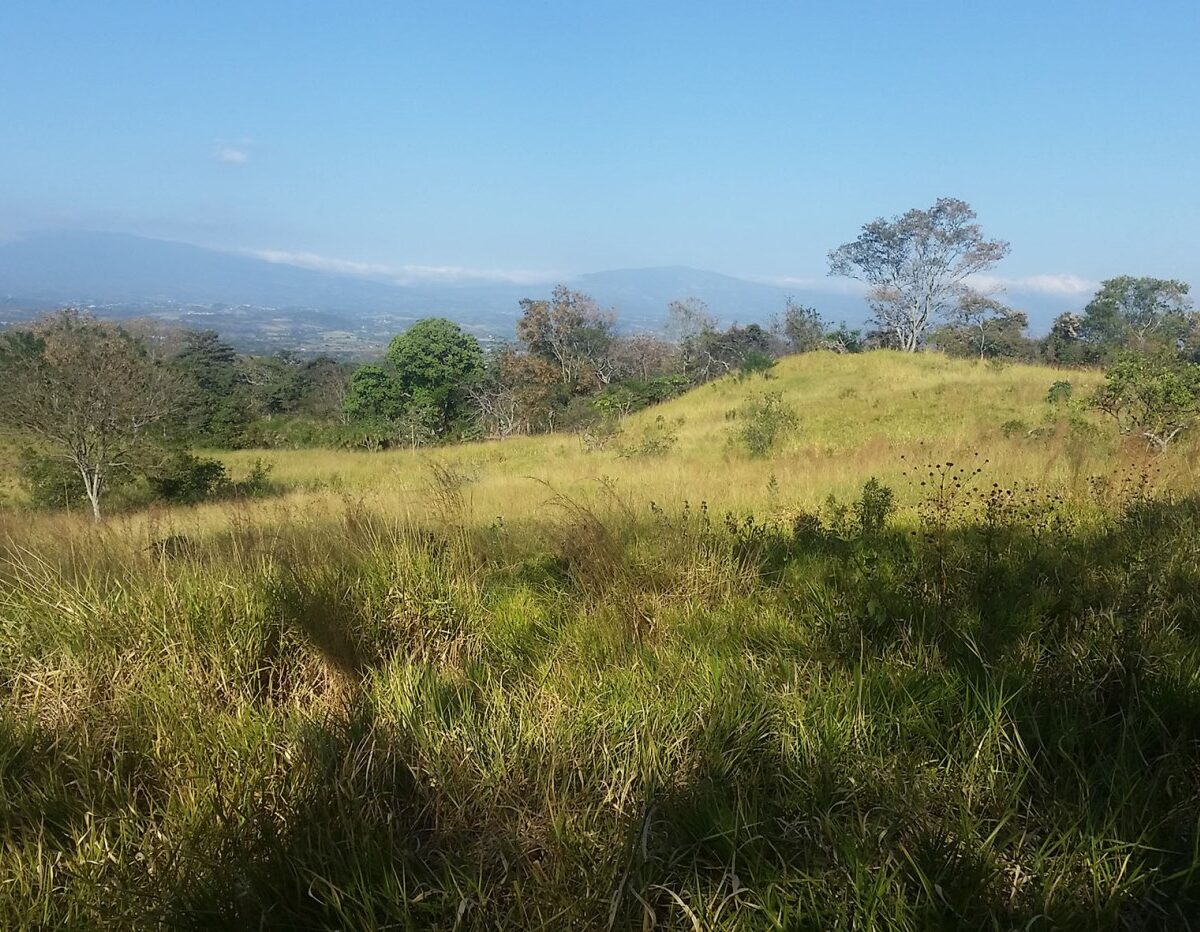 Building Lots for sale in Atenas Costa Rica