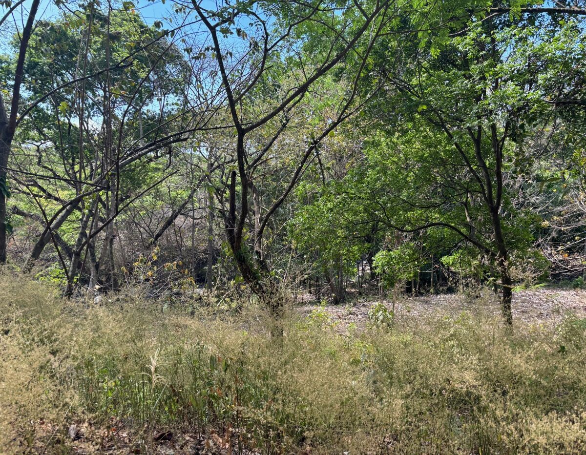 Building Lots for sale in Atenas Costa Rica