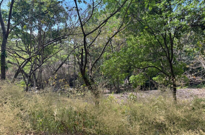 Building Lots for sale in Atenas Costa Rica