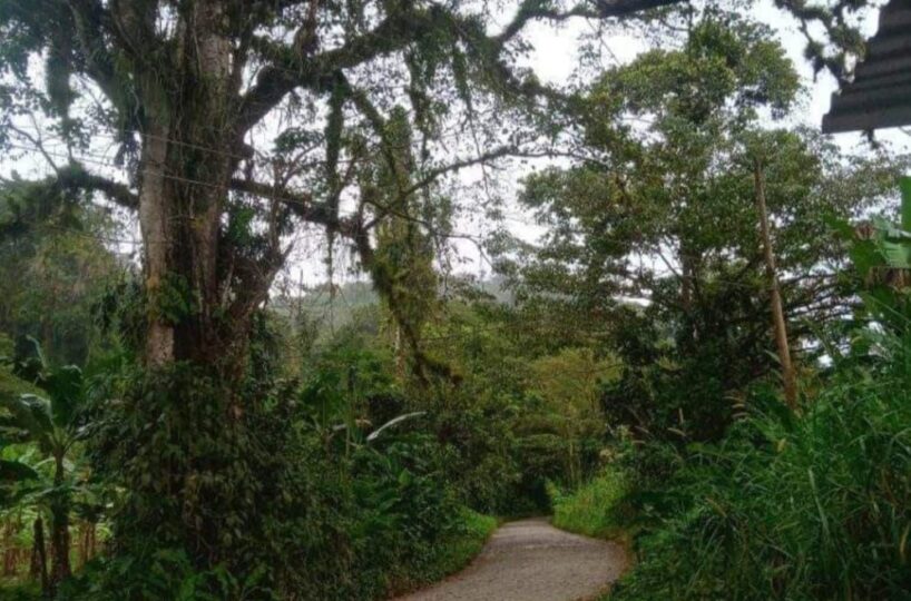 Homes for sale in Atenas Costa Rica