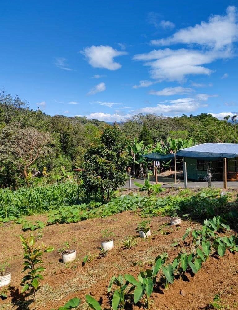 Homes for sale in Atenas Costa Rica