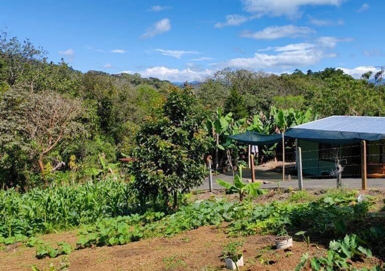 Homes for sale in Atenas Costa Rica