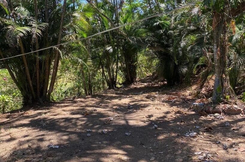 Building Lots for sale in Atenas Costa Rica