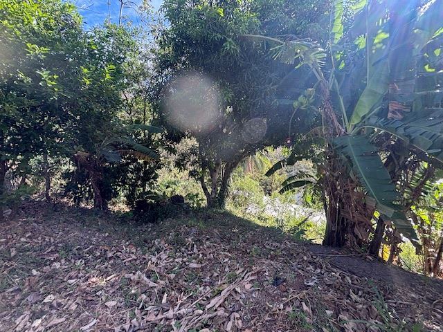 Building Lots for sale in Atenas Costa Rica