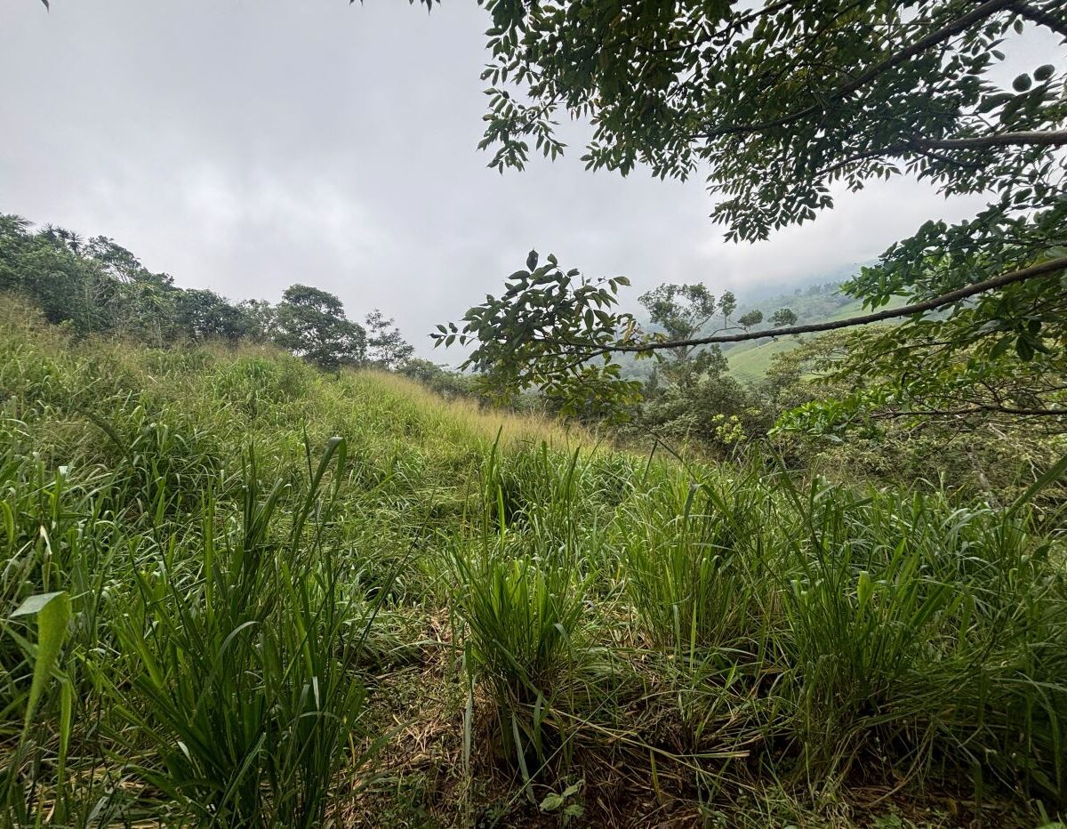Building Lots for sale in Atenas Costa Rica