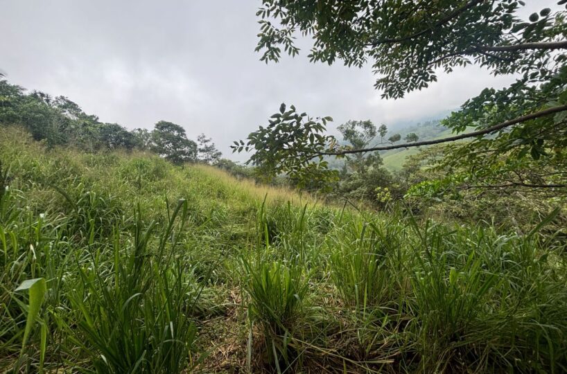 Building Lots for sale in Atenas Costa Rica