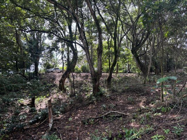 Building Lots for sale in Atenas Costa Rica