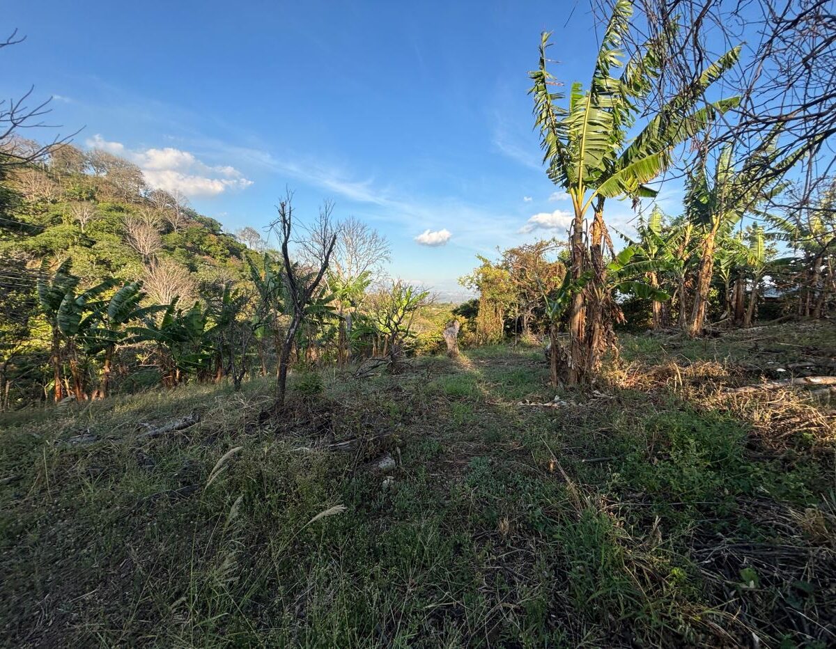 Homes for sale in Atenas Costa Rica