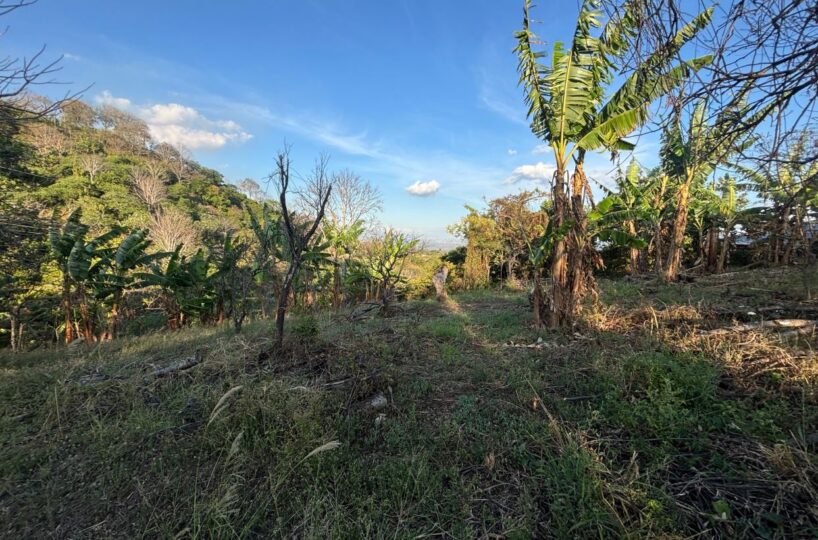 Homes for sale in Atenas Costa Rica