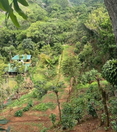 Homes for sale in Atenas Costa Rica