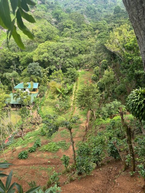 Homes for sale in Atenas Costa Rica