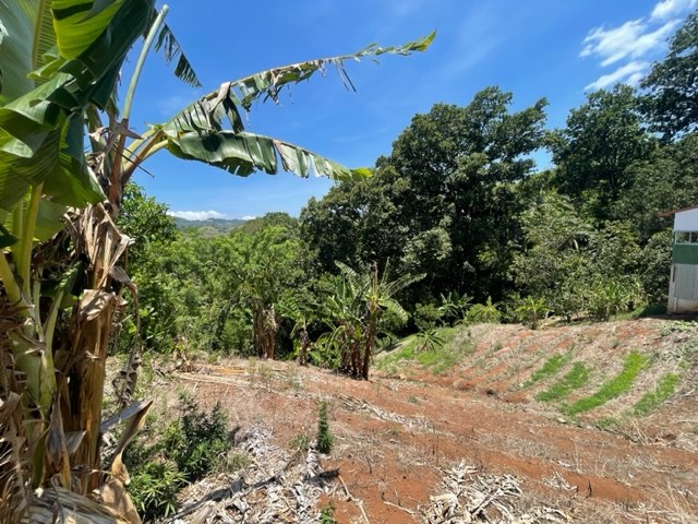 Building Lots for sale in Atenas Costa Rica