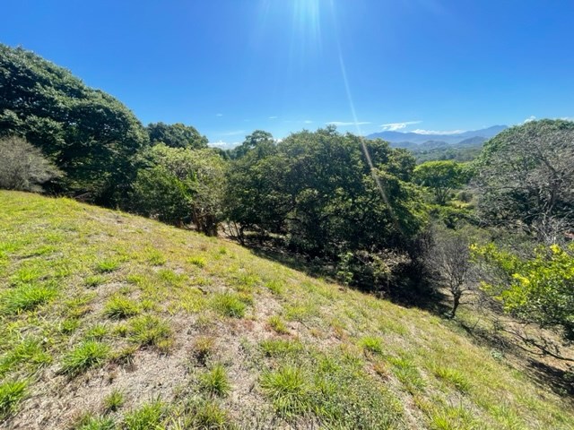 Homes for sale in Atenas Costa Rica