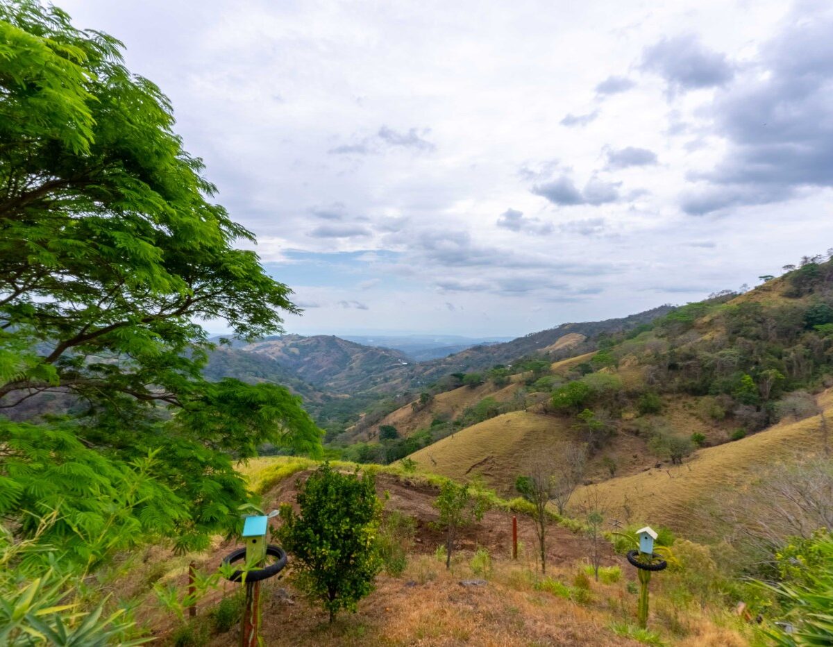Homes for sale in Atenas Costa Rica