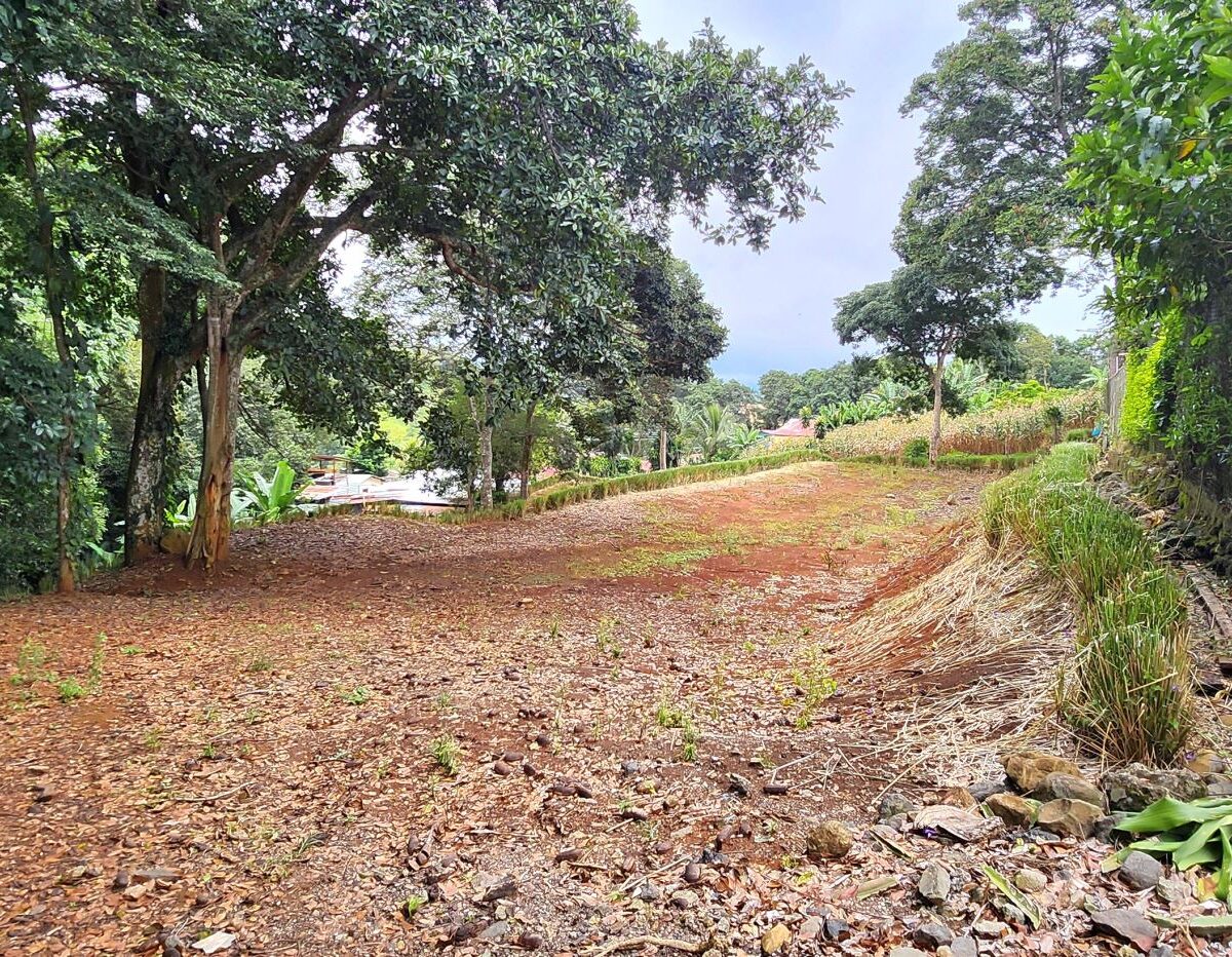 Building Lots for sale in Atenas Costa Rica