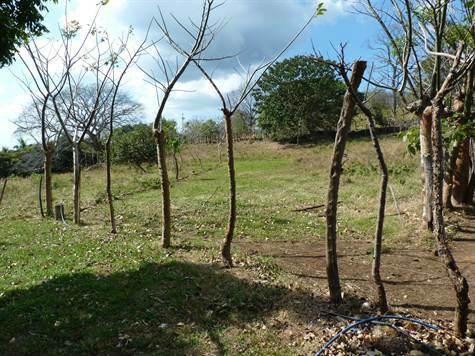 Building Lots for sale in Atenas Costa Rica