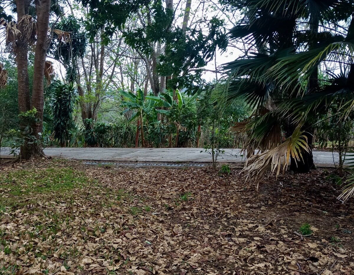 Building Lots for sale in Atenas Costa Rica