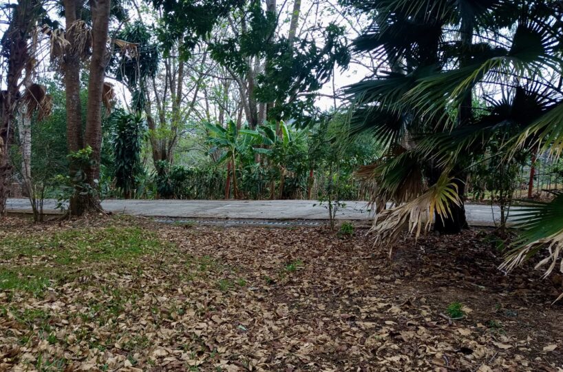 Building Lots for sale in Atenas Costa Rica