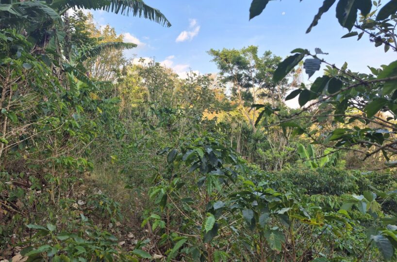 Building Lots for sale in Atenas Costa Rica