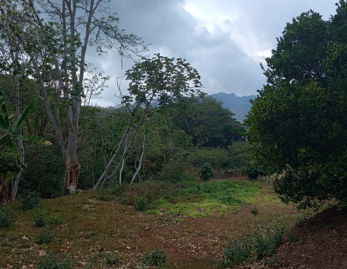 Building Lots for sale in Atenas Costa Rica