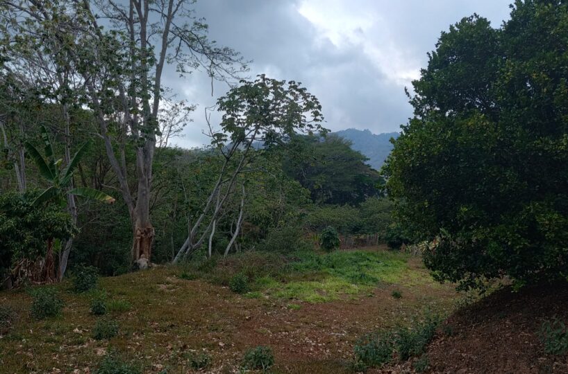 Building Lots for sale in Atenas Costa Rica