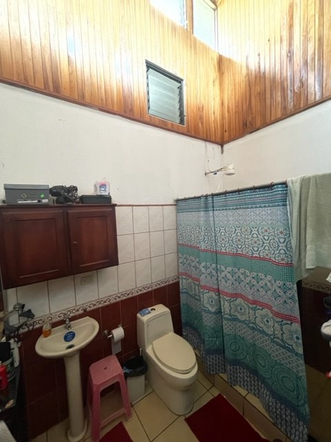 Homes for sale in Atenas Costa Rica