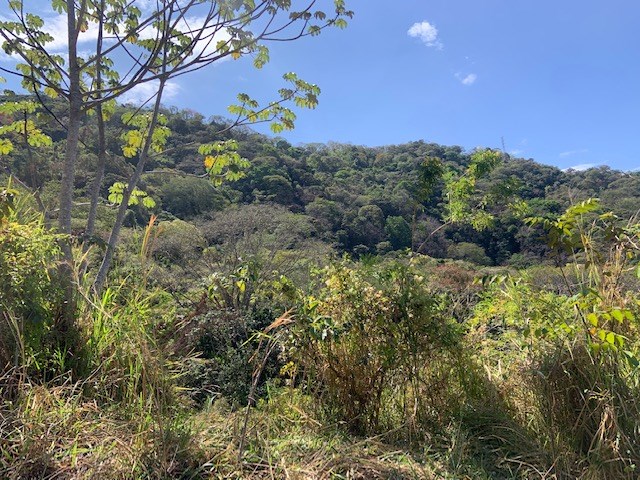 Building Lots for sale in Atenas Costa Rica