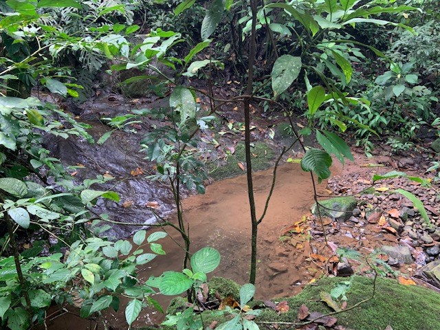 Building Lots for sale in Atenas Costa Rica