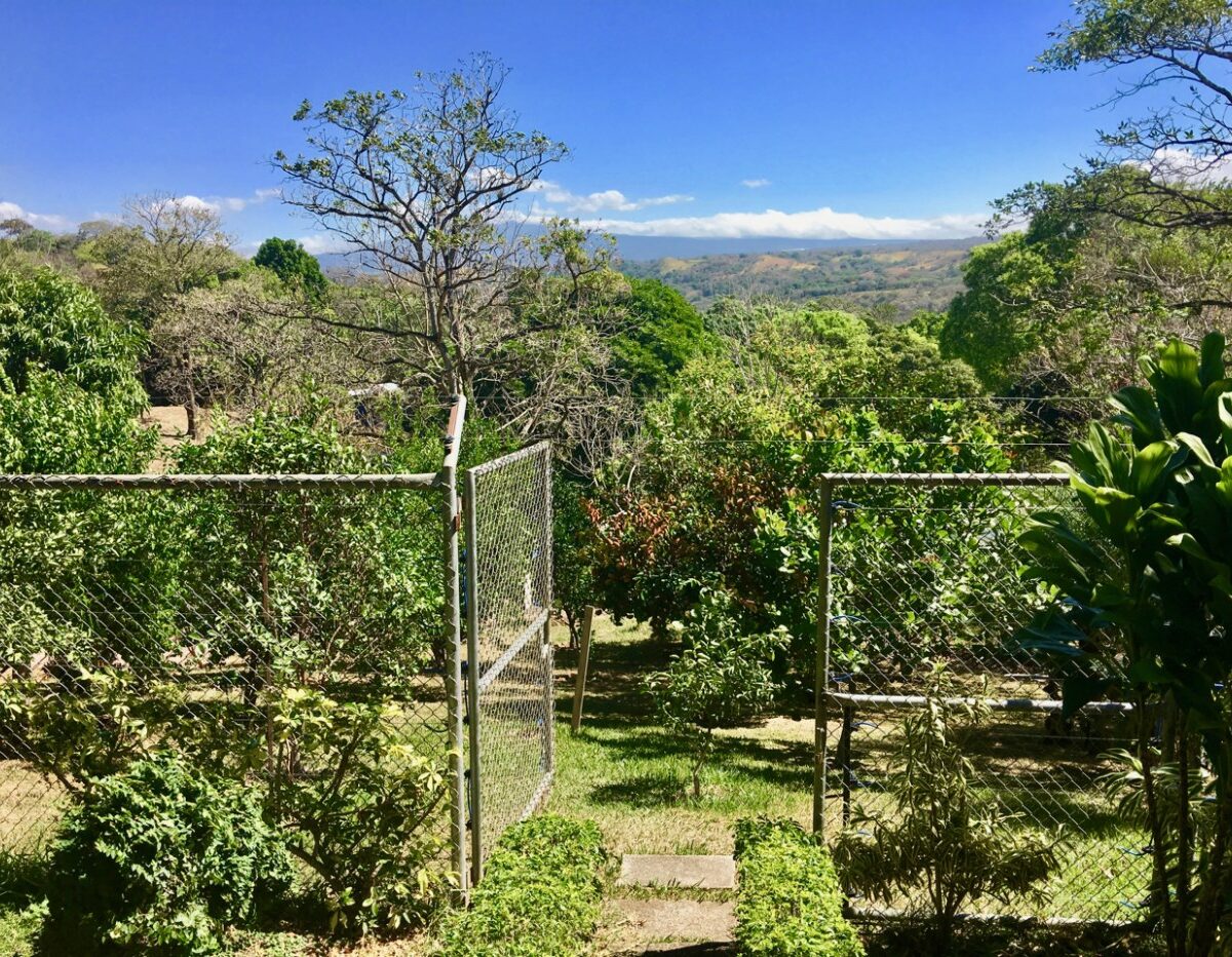Homes for sale in Atenas Costa Rica