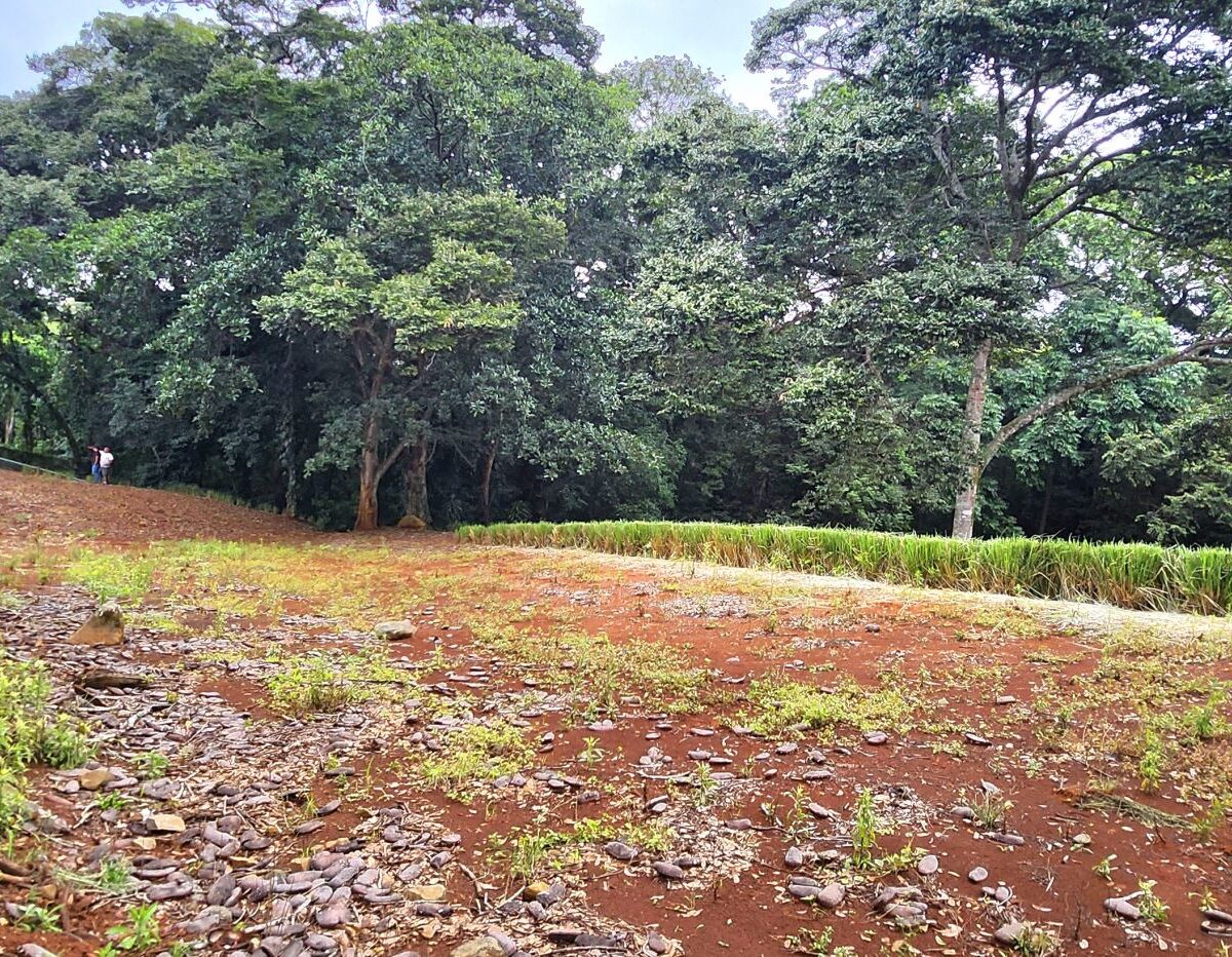 Building Lots for sale in Atenas Costa Rica