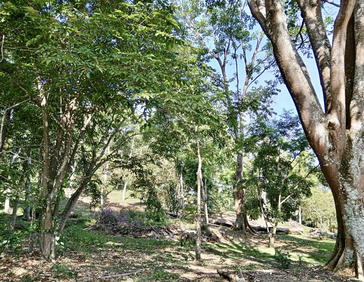 Building Lots for sale in Atenas Costa Rica
