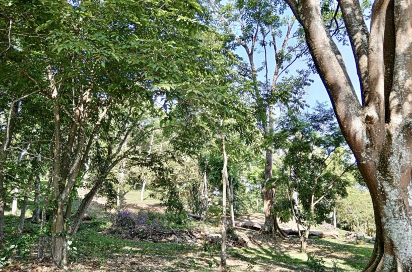Building Lots for sale in Atenas Costa Rica