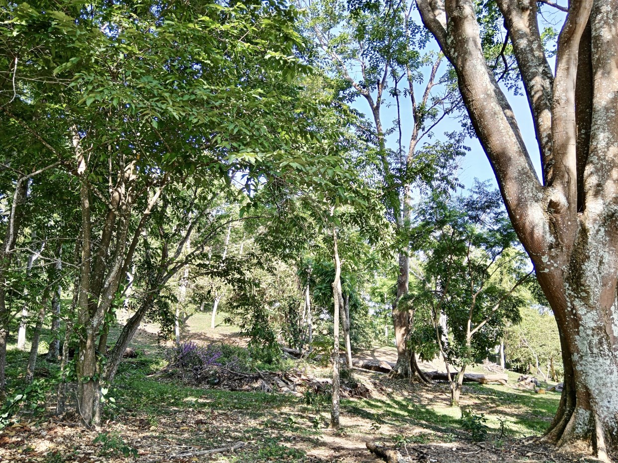 Building Lots for sale in Atenas Costa Rica
