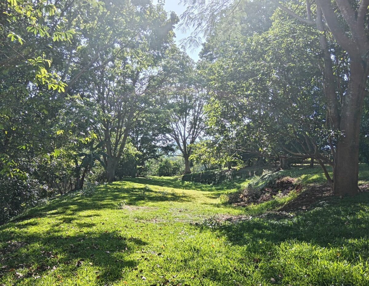 Building Lots for sale in Atenas Costa Rica