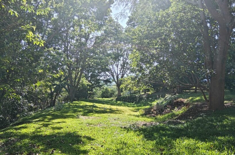 Building Lots for sale in Atenas Costa Rica