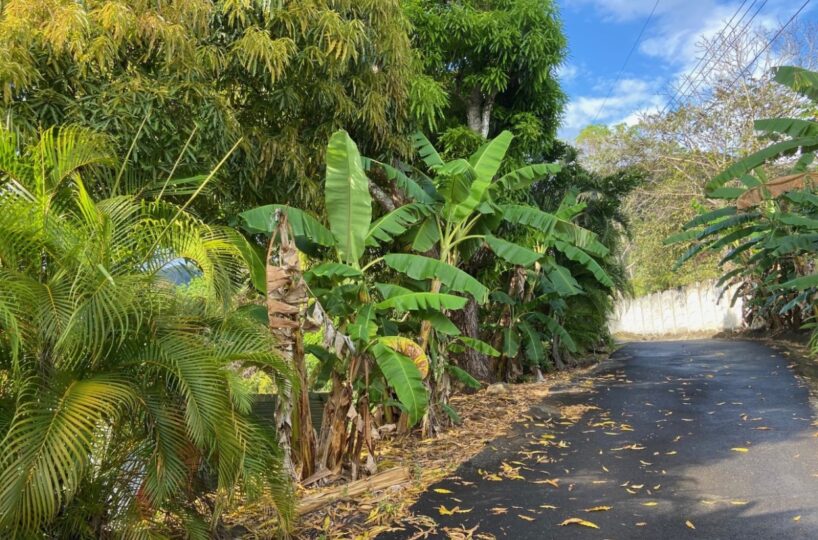 Building Lots for sale in Atenas Costa Rica